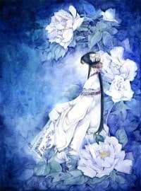 醫品佳婿